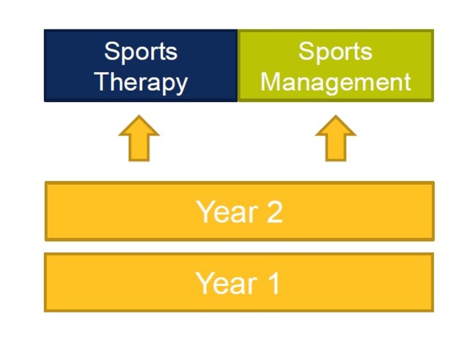 programme structure